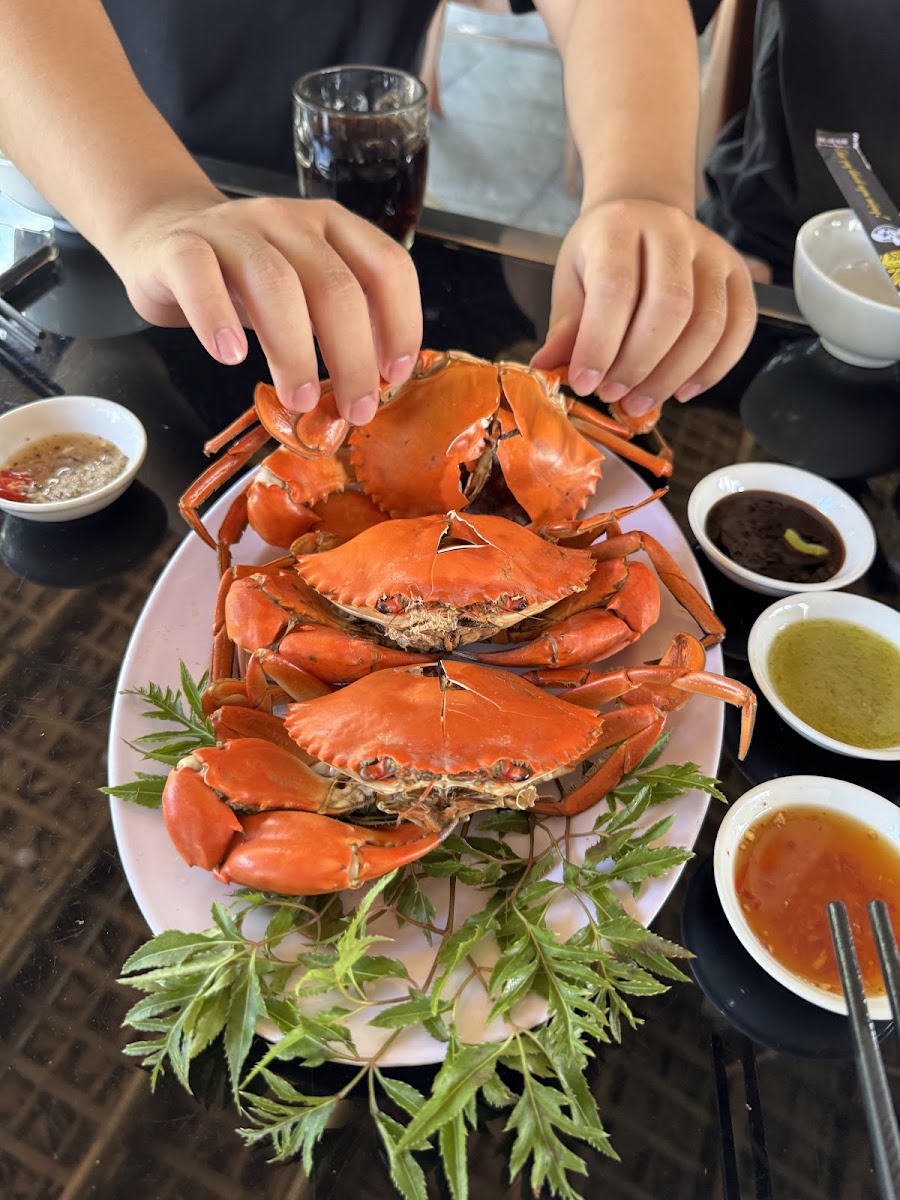 Starfish Restaurant-4